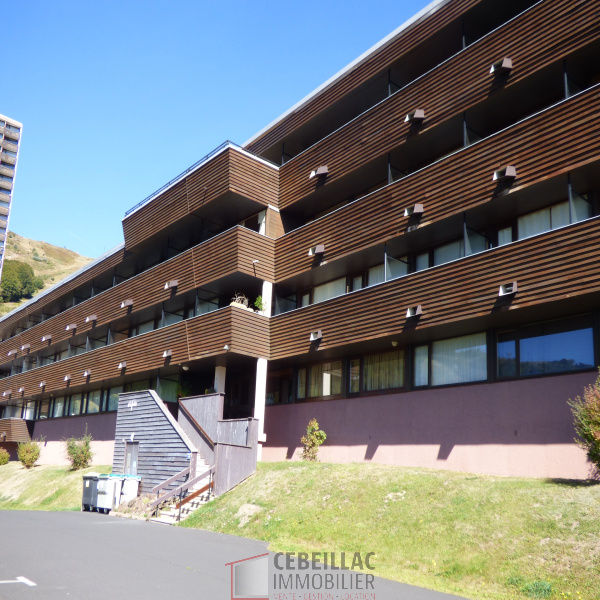 Offres de vente Appartement Besse-et-Saint-Anastaise 63610