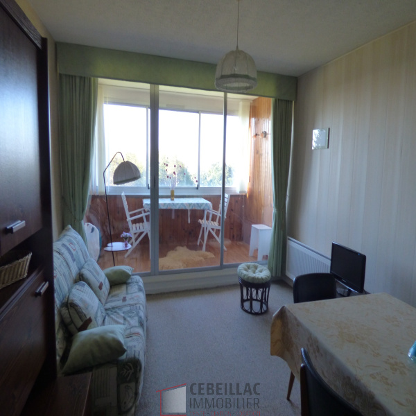 Offres de vente Appartement Besse-et-Saint-Anastaise 63610