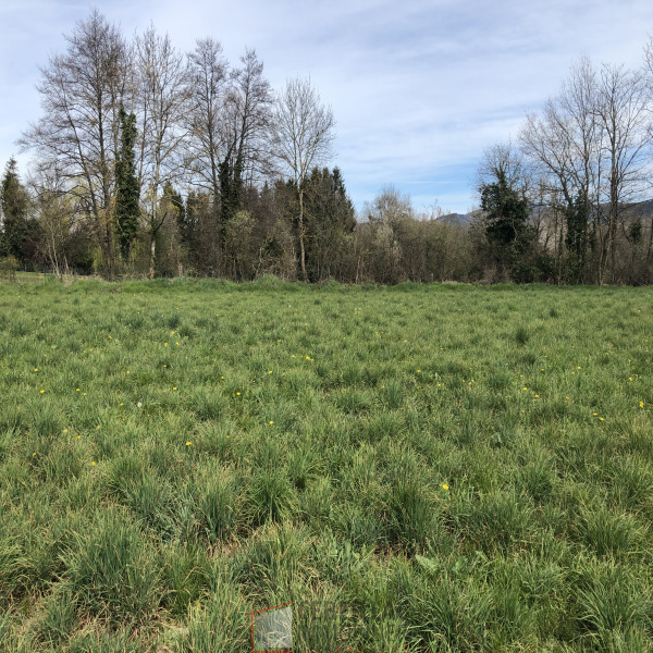 Offres de vente Terrain Lezoux 63190