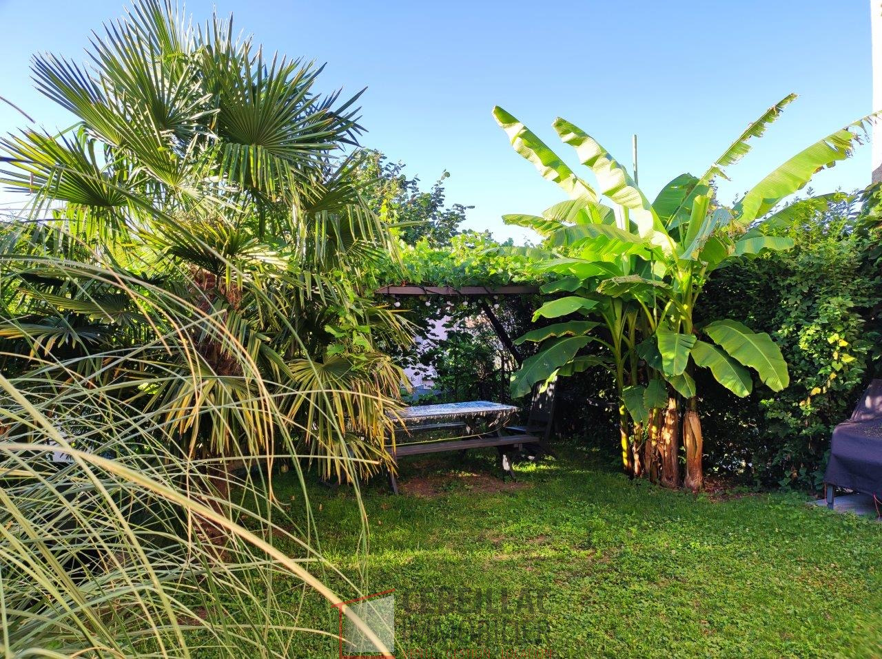Agence immobilière de Cebeillac Immobilier