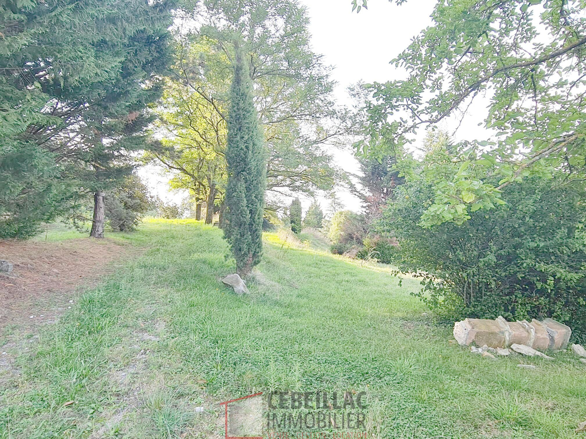 Agence immobilière de Cebeillac Immobilier